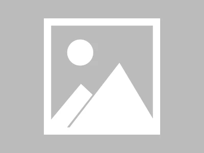 Kenvue Stock Price: What's Driving the Market and Reddit's Take